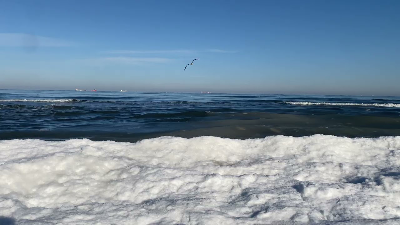 Frozen Shore & Baltic Sea at −20°C | Ice Breaking Into the Water | Real Sea Sounds3. Februar 2026