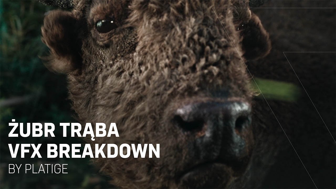 Żubr Trąba | VFX Breakdown | Platige