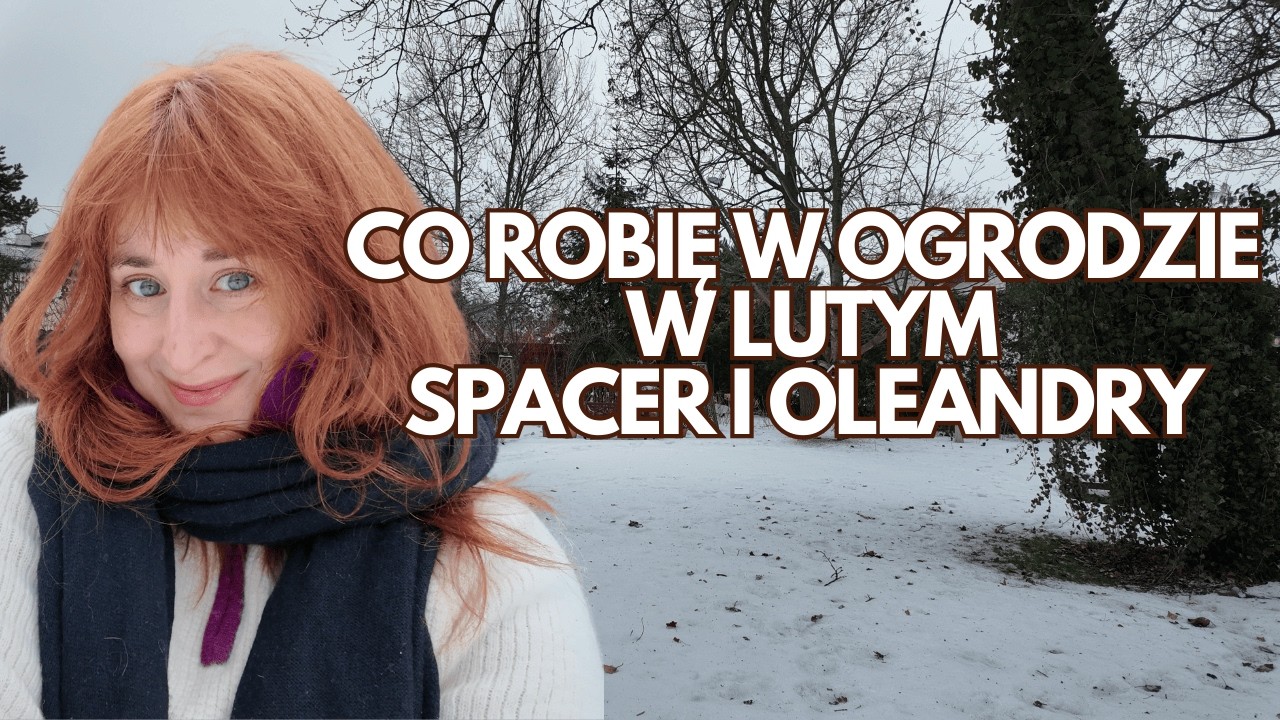 Co robię w ogrodzie w lutym | Oleandry zimą | Garden Tour