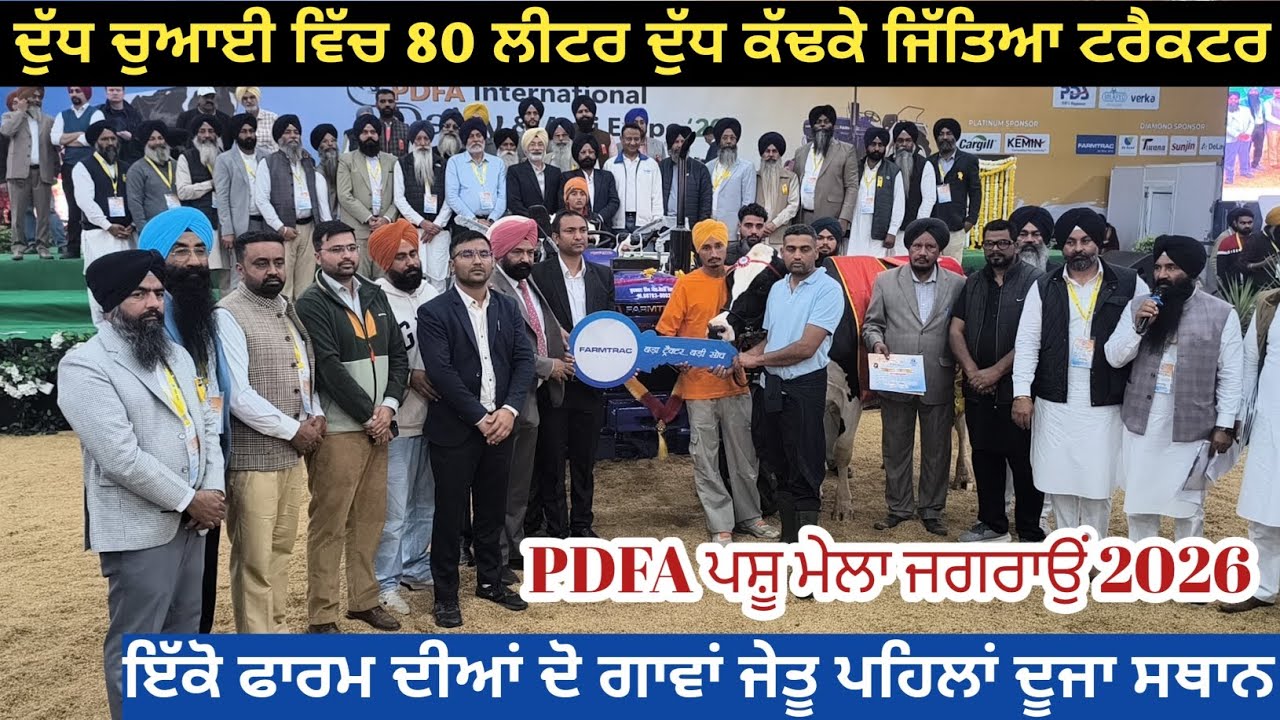 Pdfa ਪਸ਼ੂ ਮੇਲਾ ਜਗਰਾਉਂ 2026 ਸਭ ਤੋਂ ਵੱਧ ਦੁੱਧ ਦੇਣ ਵਾਲੀ ਟਰੈਕਟਰ ਜੇਤੂ ਚੈਂਪੀਅਨ ਗਾਂ ਦੇਖੋ।