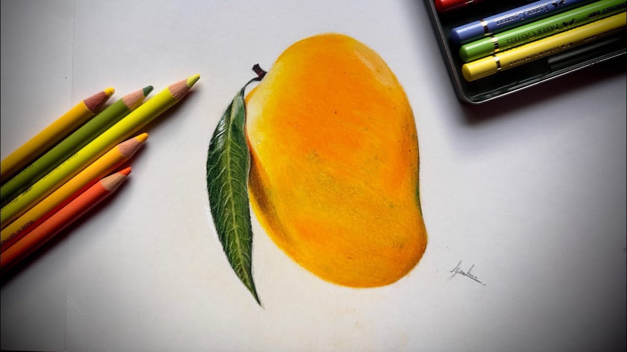 realistic drawing of mango with color pencil\learn how t draw mango fruit\drawing with faber castell