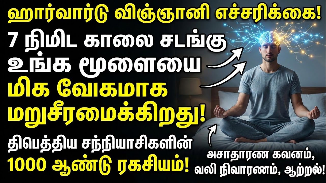 7 நிமிட காலை பயிற்சி: ஹார்வார்ட் நரம்பியல் ஆய்வு சொல்வது மூளை மறுசீரமைப்பு,கவனம் அதிகரிப்பு ரகசியம்.
