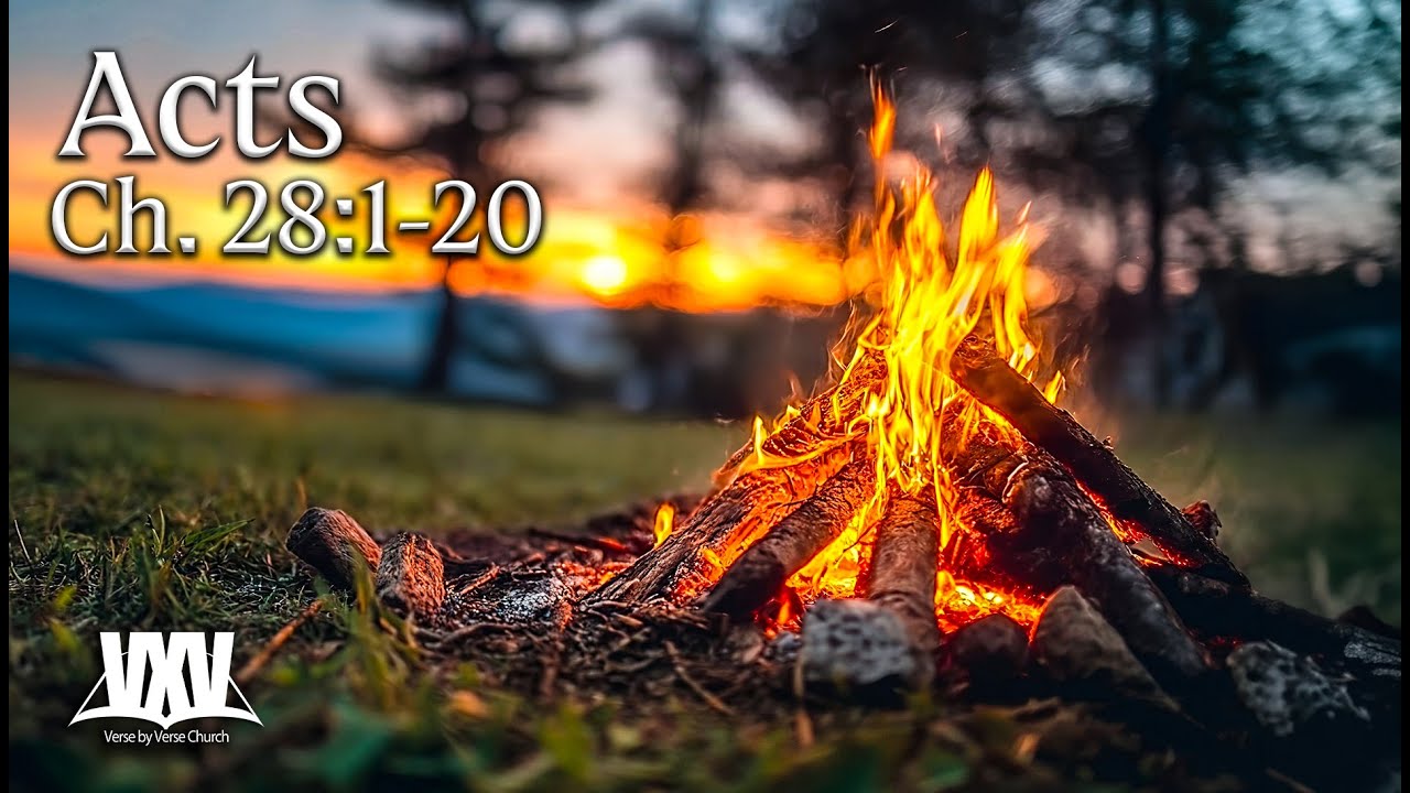 Verse by Verse - Acts 28:1-20