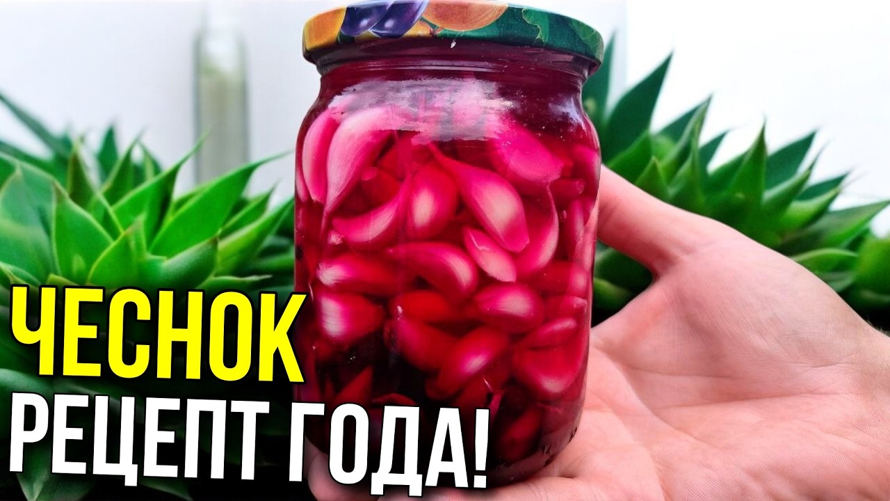 Все ЧЕСНОК МАРИНУЮТ — А Я ФЕРМЕНТИРУЮ! Без УКСУСА, без САХАРА!