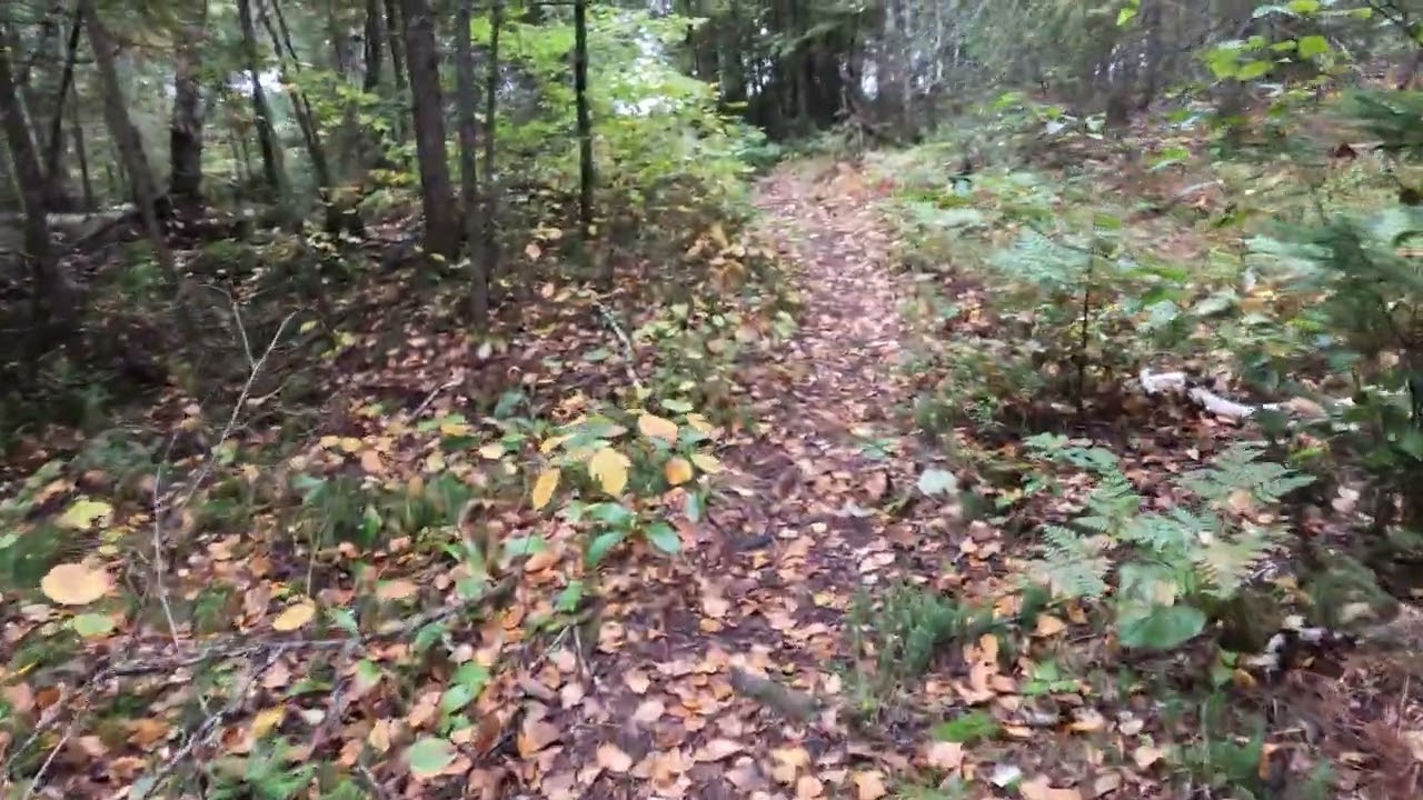 Beartrack to Little Beartrack portage BWCAW
