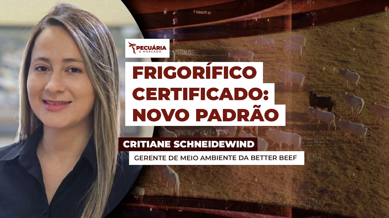 Certificação 2030 TODAY: como os ODS da ONU estão transformando a produção de carne no Brasil.