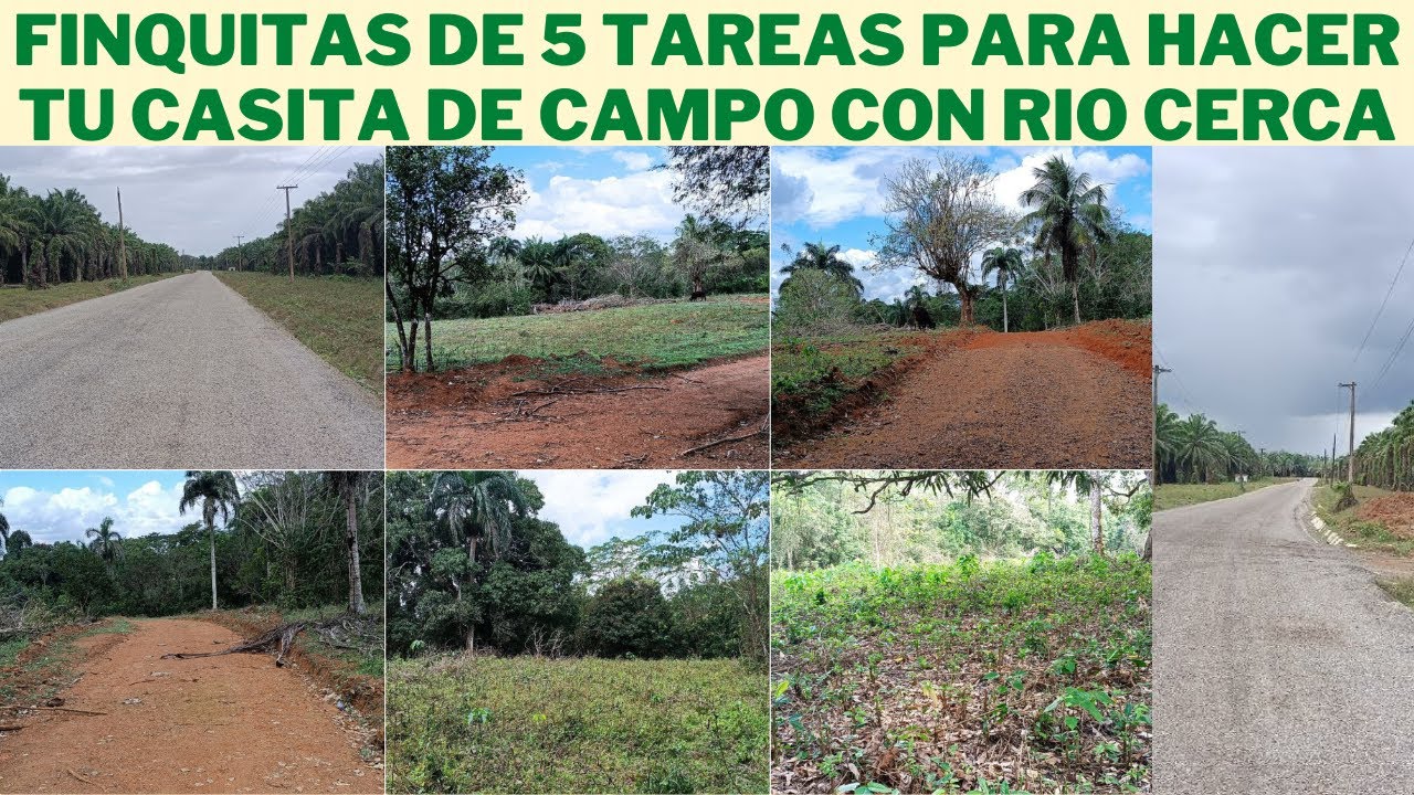 Finquitas de 5 tareas en Chirino de Monte Plata cerca de la Autovía Samaná y a 1 HORA de la Capital