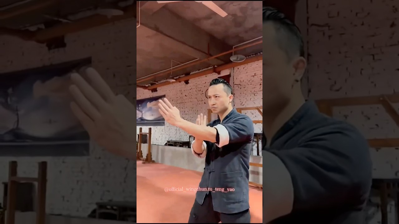 Wing chun self defense techniques - 37 #wingchun #kungfu #martialarts #boxing #foryou #shorts #fyp