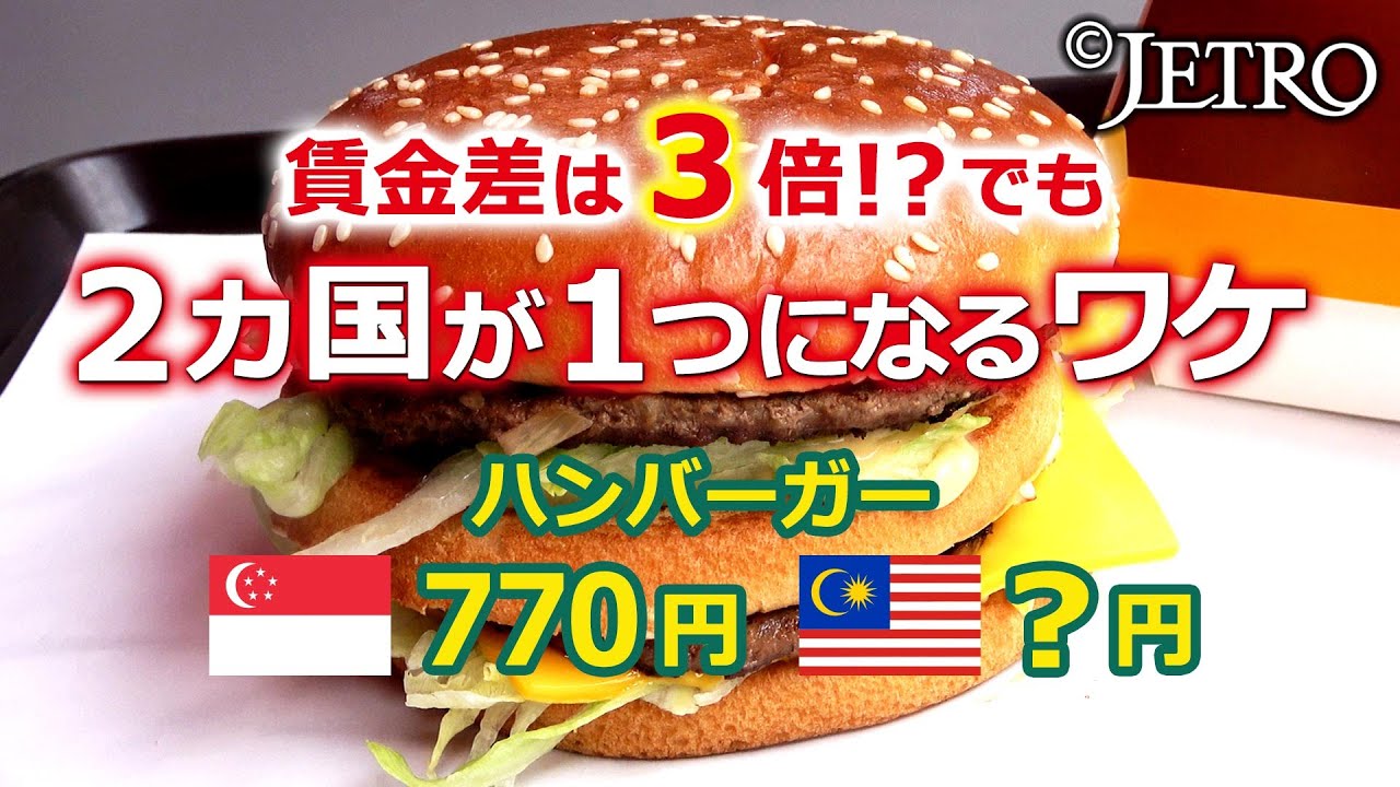 【世界初！？ 越境経済圏とは】マレーシアとシンガポールの挑戦