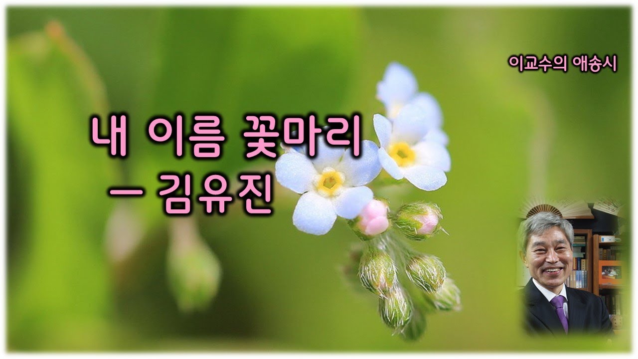 내 이름 꽃마리―김유진