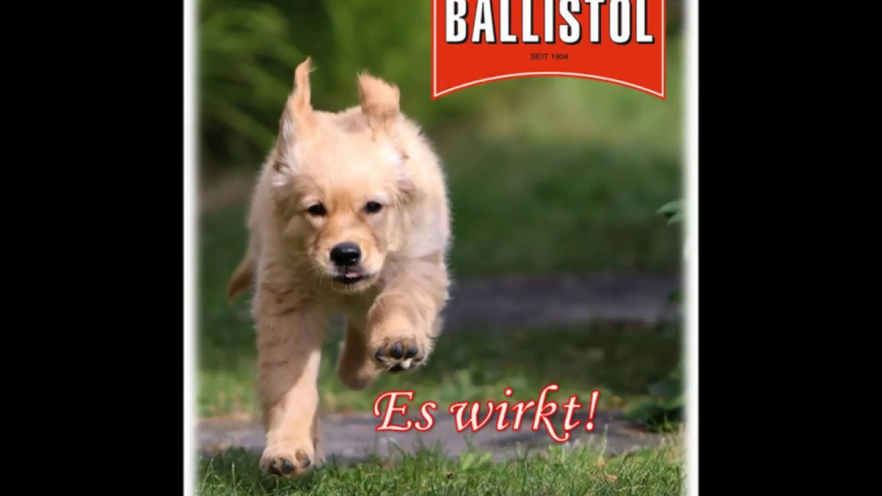 Ballistol ein deutsches Wundermittel
