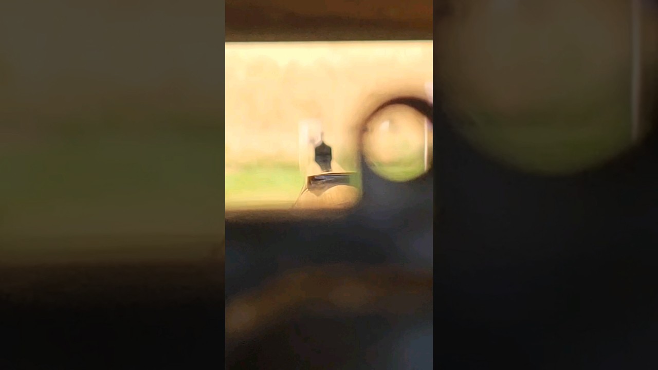 Williams peep sight aperture #targetshooting #rifle #bigbore #hunting #target #targetpractice
