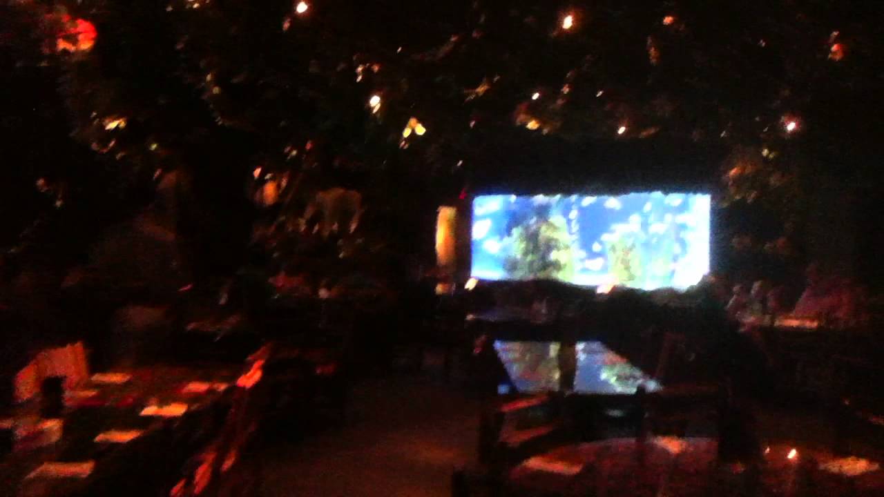 Rainforest Cafe Menlo Park Mall, Edison, NJ - July 10, 2014