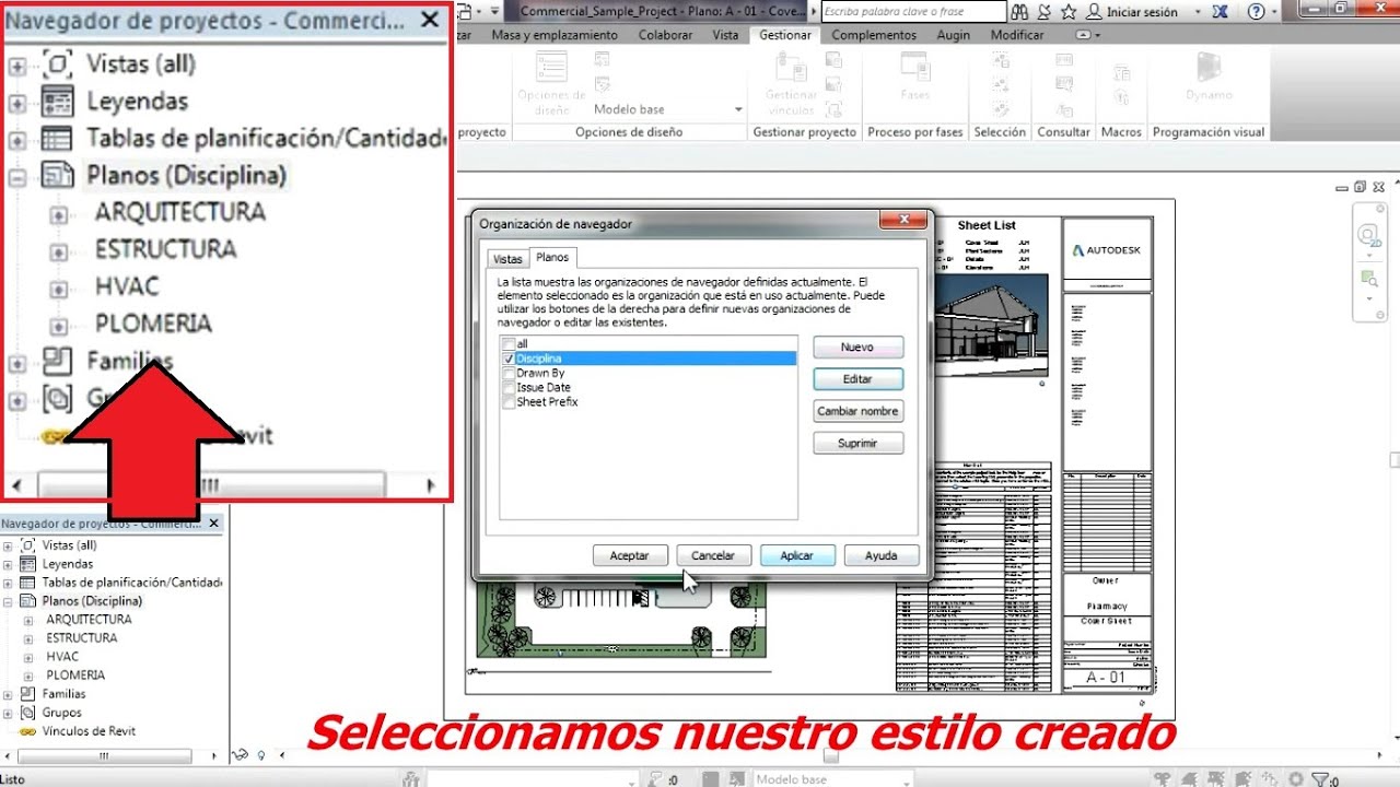 COMO ORGANIZAR PLANOS/LAMINAS POR DISCIPLINA EN REVIT