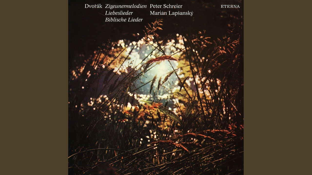 Gypsy Melodies, Op. 55, B. 104: No. 4, Als die alte Mutter mich noch lehrte singen
