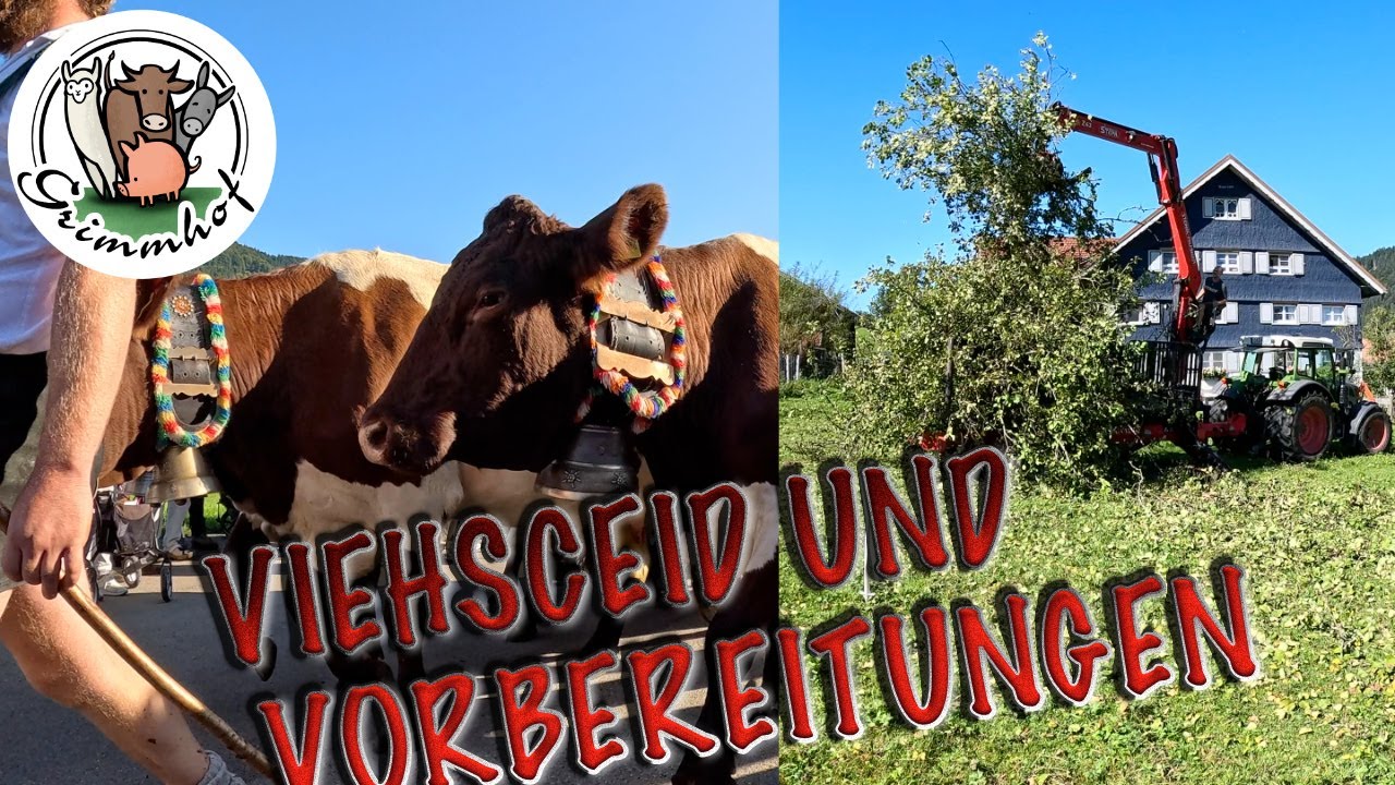 FarmVLOG#351 - Viehscheid und Vorbereitungen