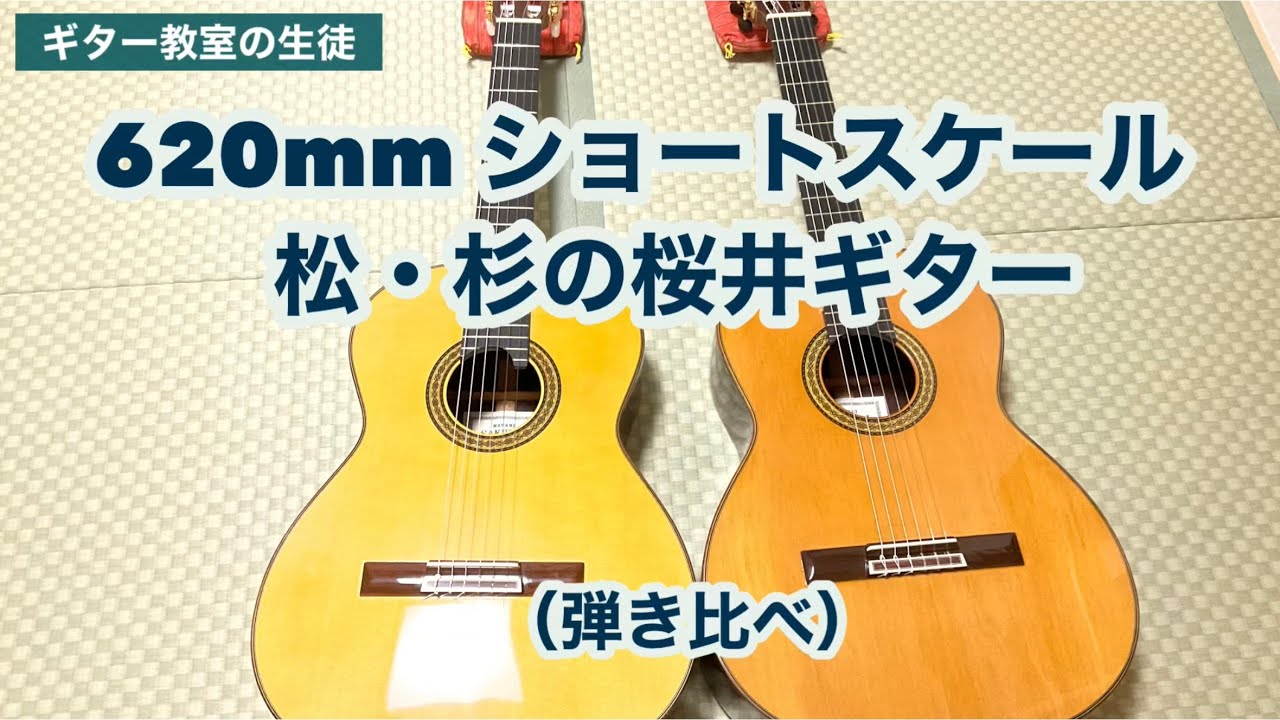 620mm ショートスケール松・杉の桜井ギター（禁じられた遊び前半　弾き比べ）【ギター教室生徒】