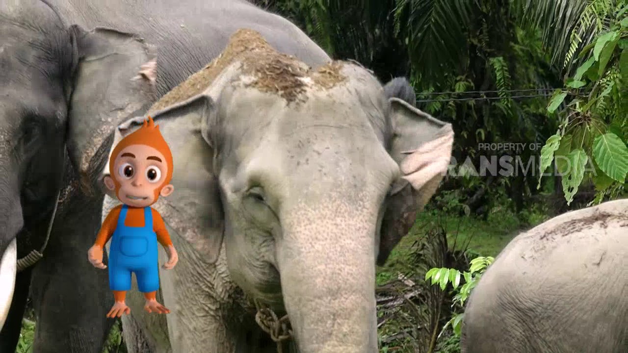 SI OTAN | KISAH SI GAJAH (26/12/18) PART 1