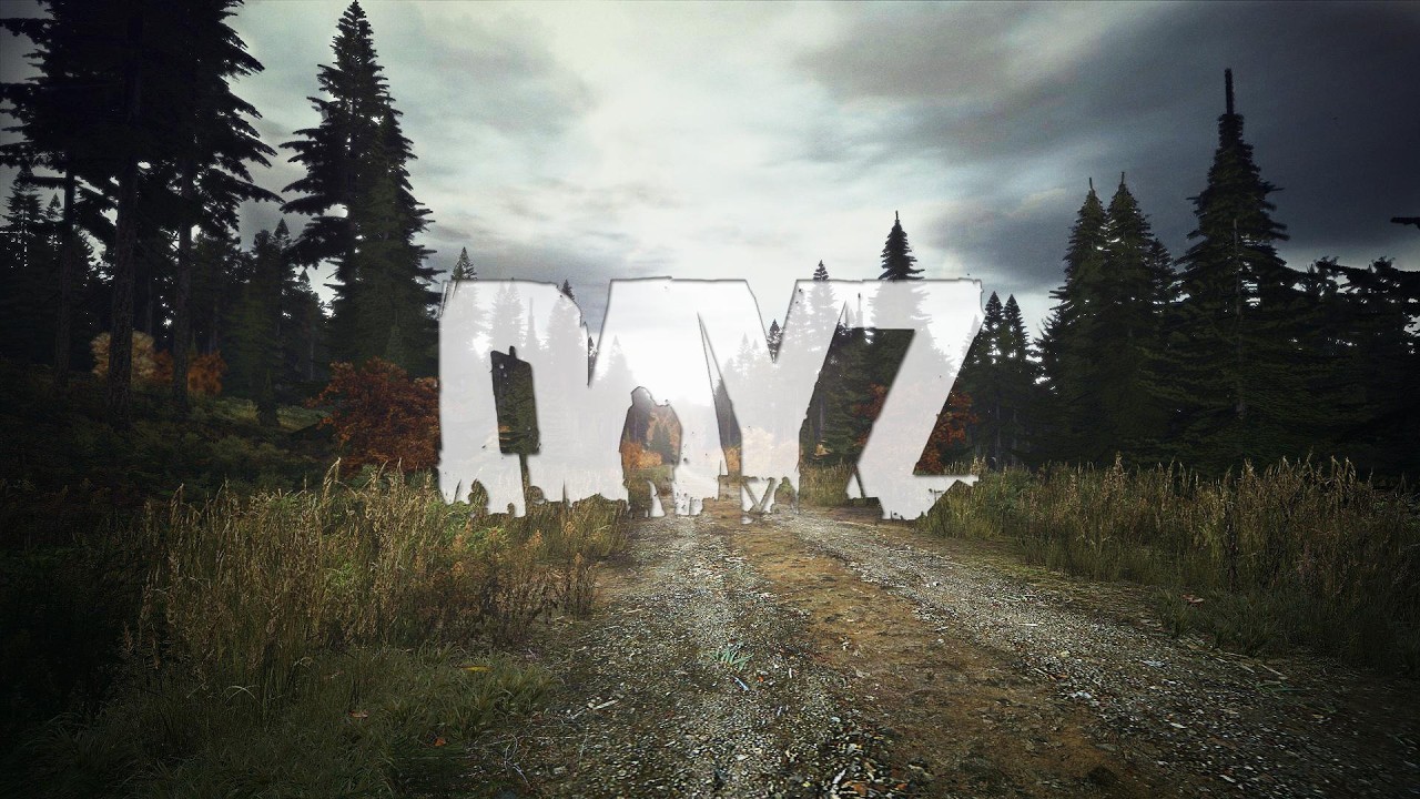 DayZ Survival -- LIVESTREAM