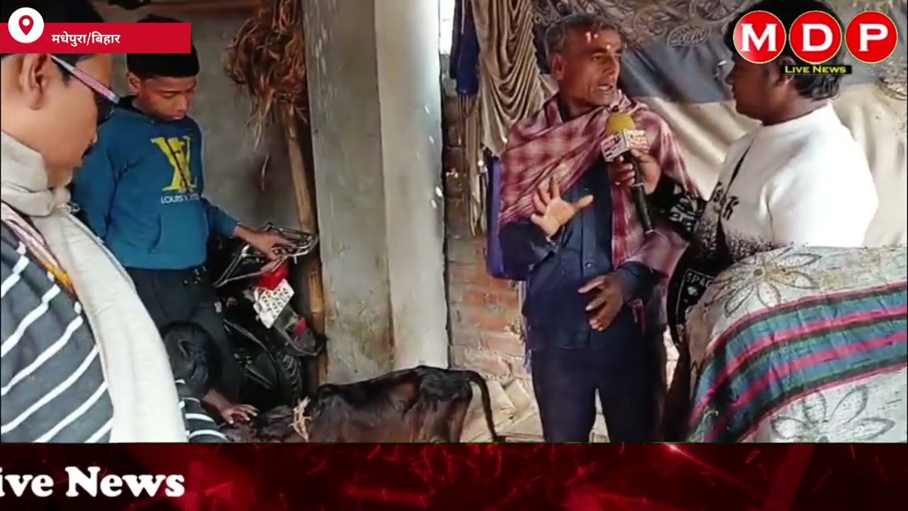 घैलाढ़ प्रखंड के रतनपुरा में गाय ने दिया 3 बच्चे को जन्म बना आकर्षण का केंद्र