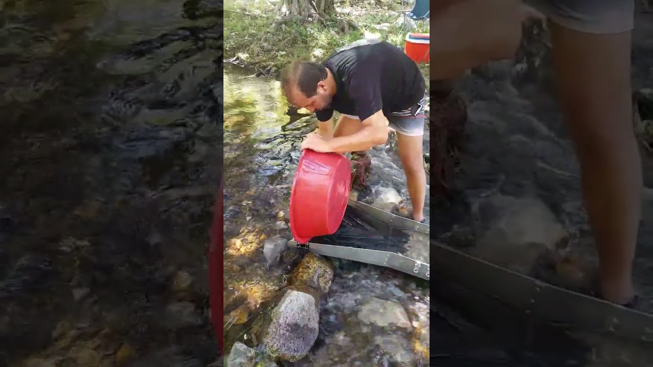 derelerde altın arama.