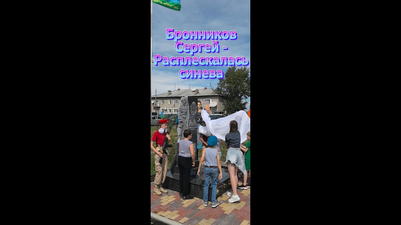 Бронников Сергей - Расплескалась синева