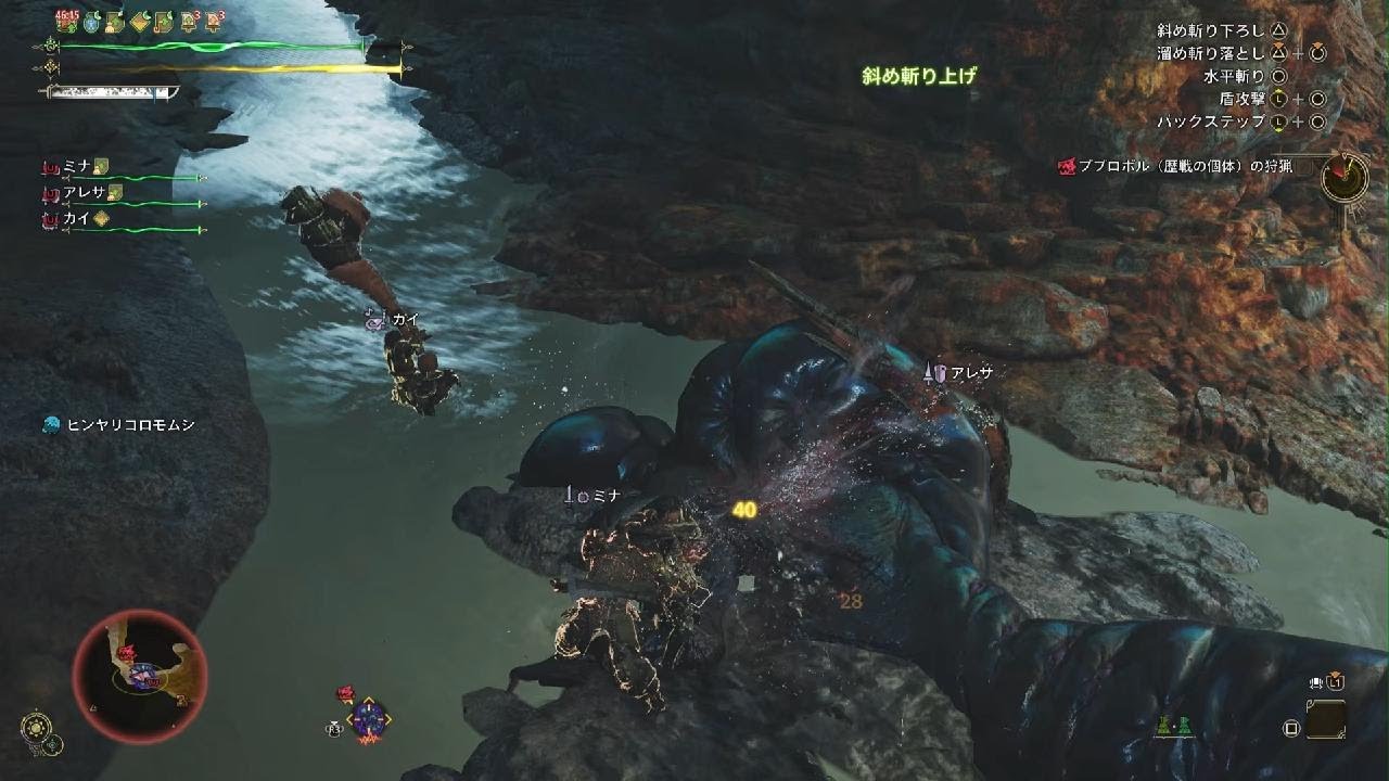 Monster Hunter Wilds　ププロポル★10