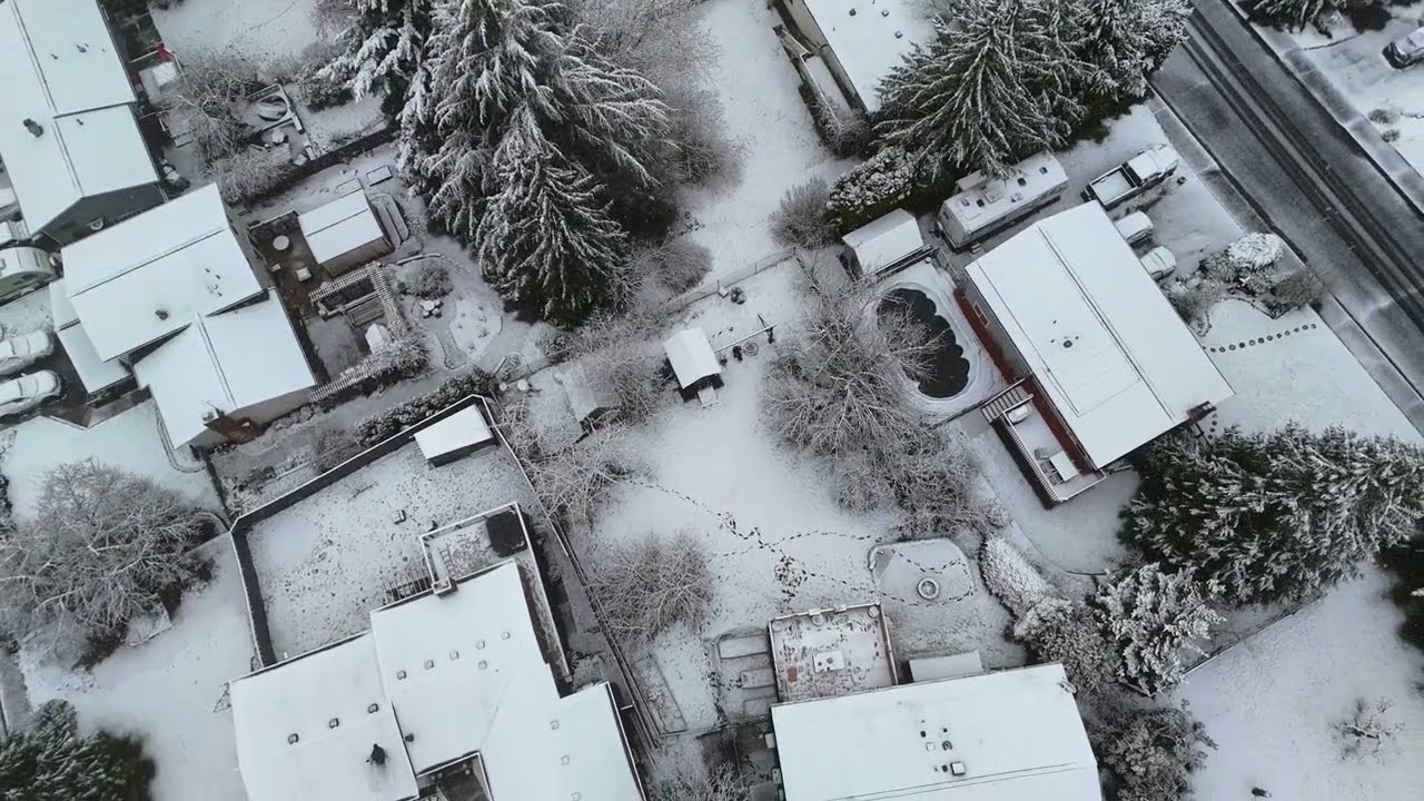 Мартовский снег. Ботелл, штат Вашингтон. 13/03/2026