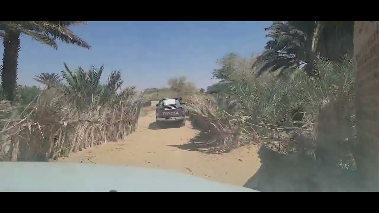 Mauritania Tanouchert Oasis