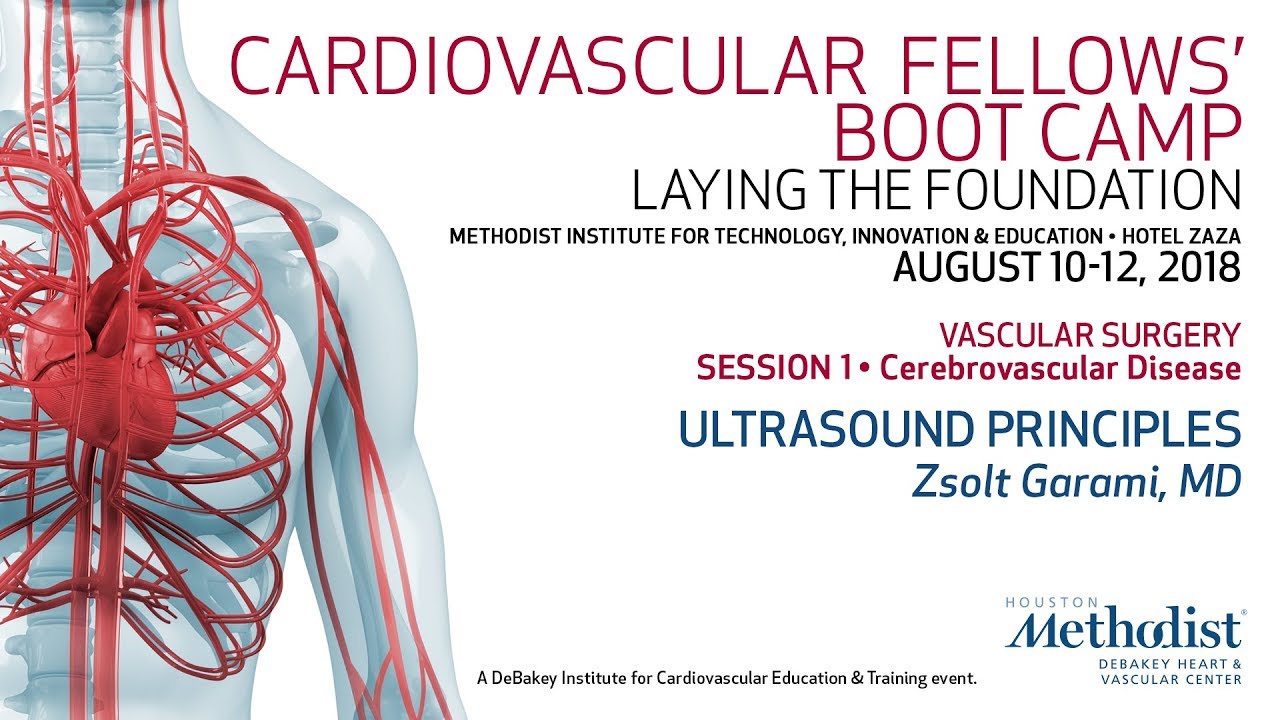 Ultrasound Principles (Zsolt Garami, MD)