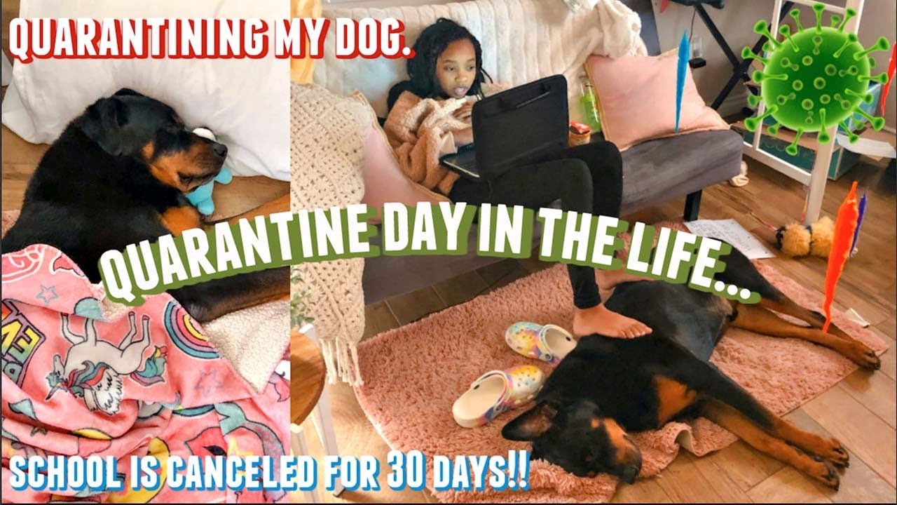 QUARANTINE DAY IN THE LIFE / morning routine / just jordyn  