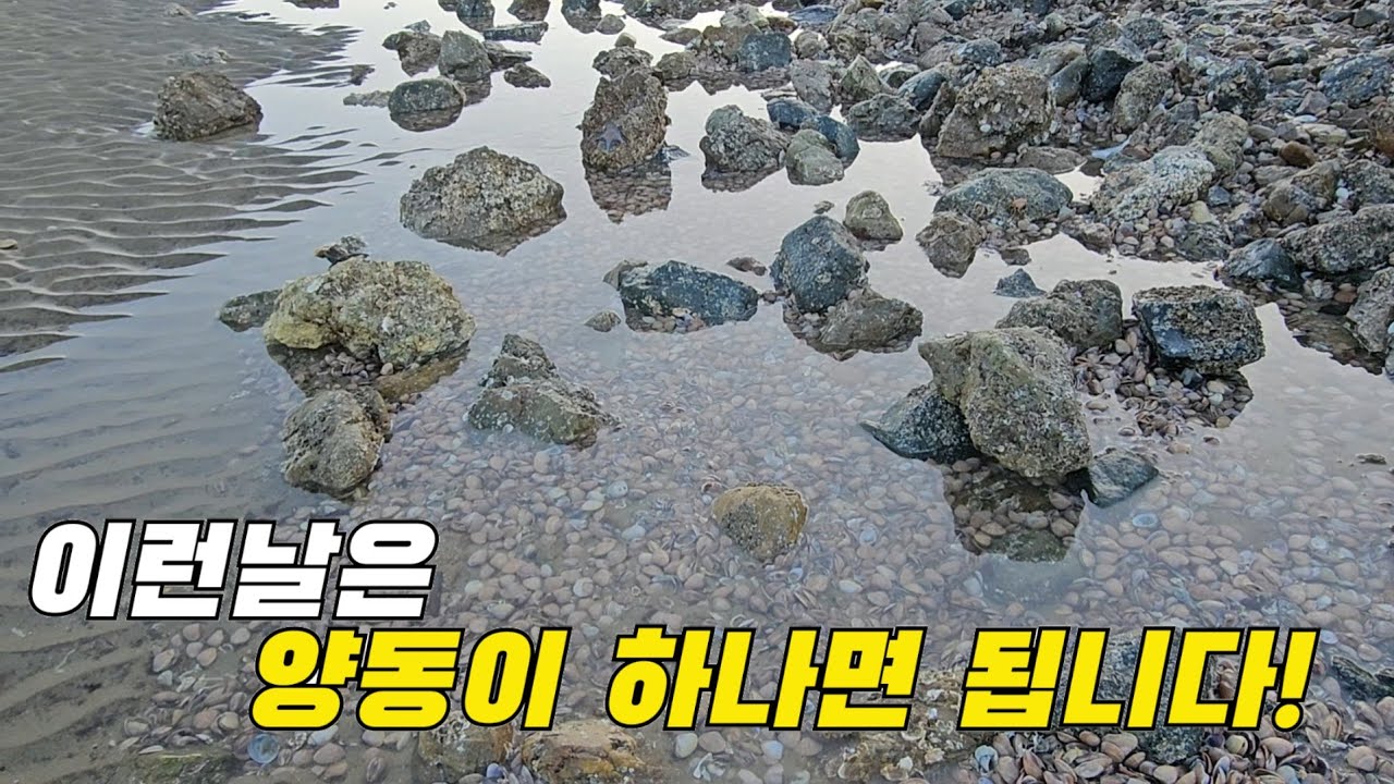 조개띠가 보이는날은 양동이부터 무조건 챙겨야하는 해변! / If you look at the belt of  clams, you must go to the  beach