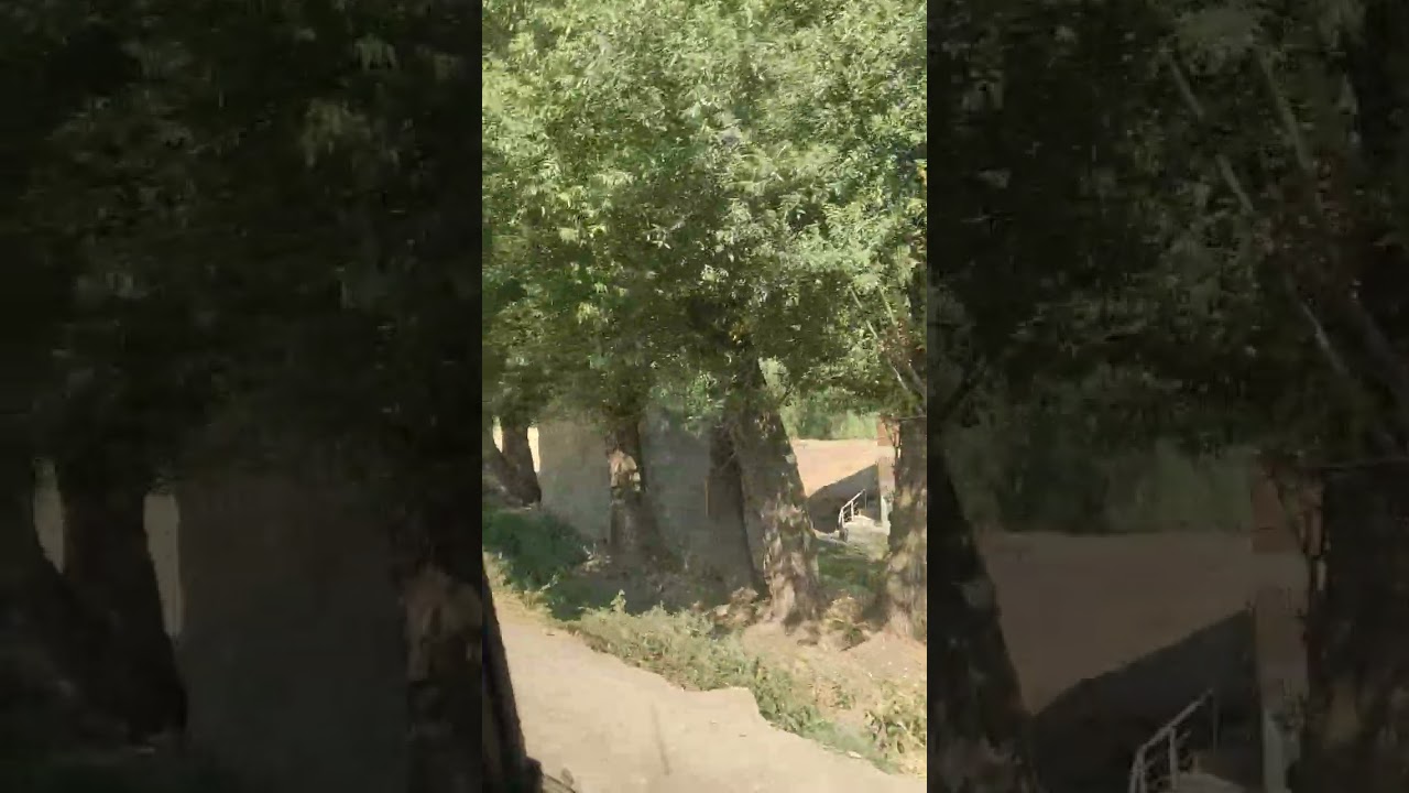 Muş Korkut yolgözler köyü