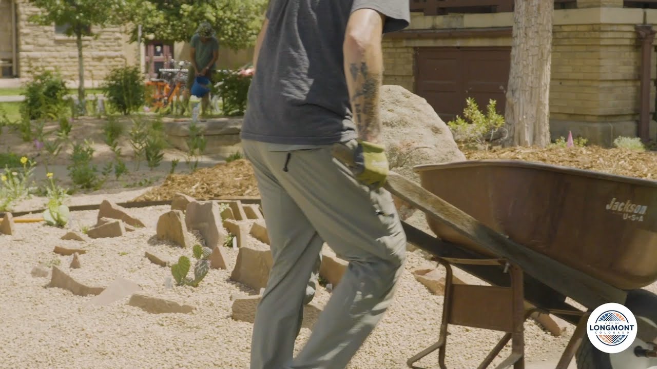 This Pollinator Garden Rejuvenates the Carnegie Library