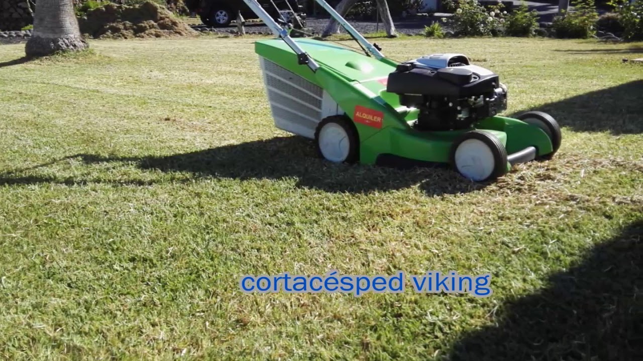 Escarificado de césped grama
