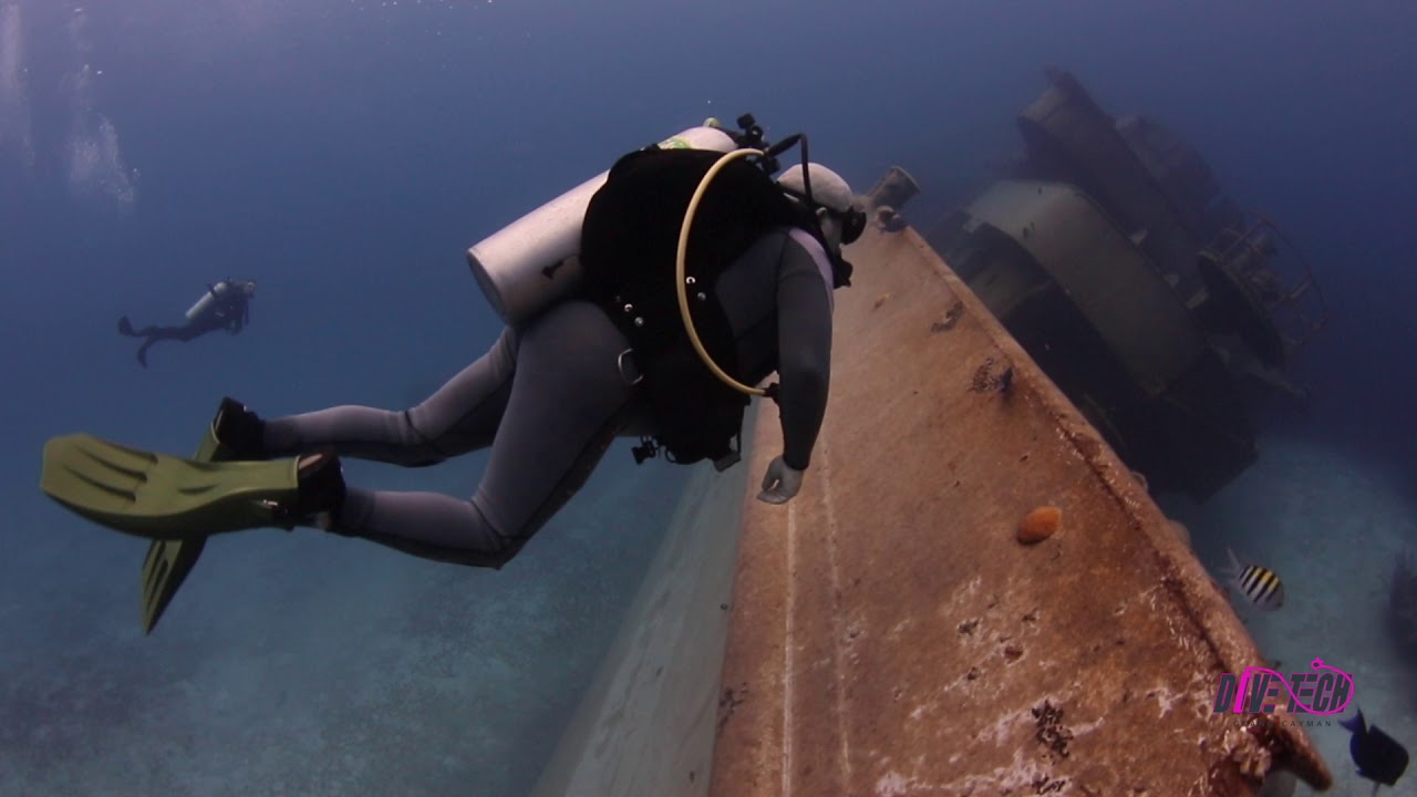 Return to the Kittiwake