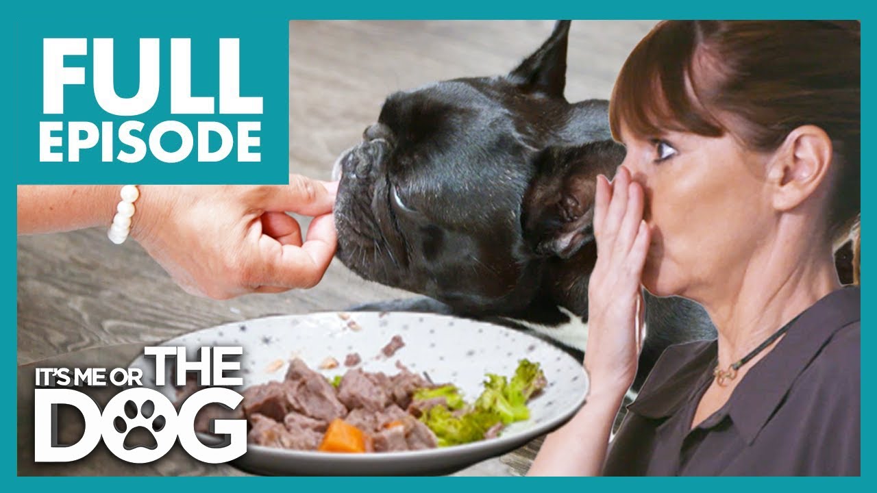 Pampered Frenchie is Hand-Fed Luxurious Food Every Meal! | Full Episode 109 | It's Me or the Dog
