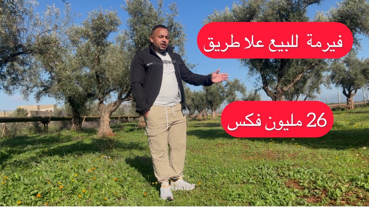 حلم الاستثمار القروي 🌳 فيرمة على الطريق بأشجار الزيتون