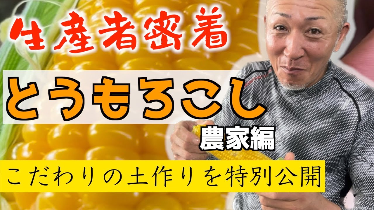 驚きの産業廃棄物で土づくり！？大規模とうもろこし農家に密着