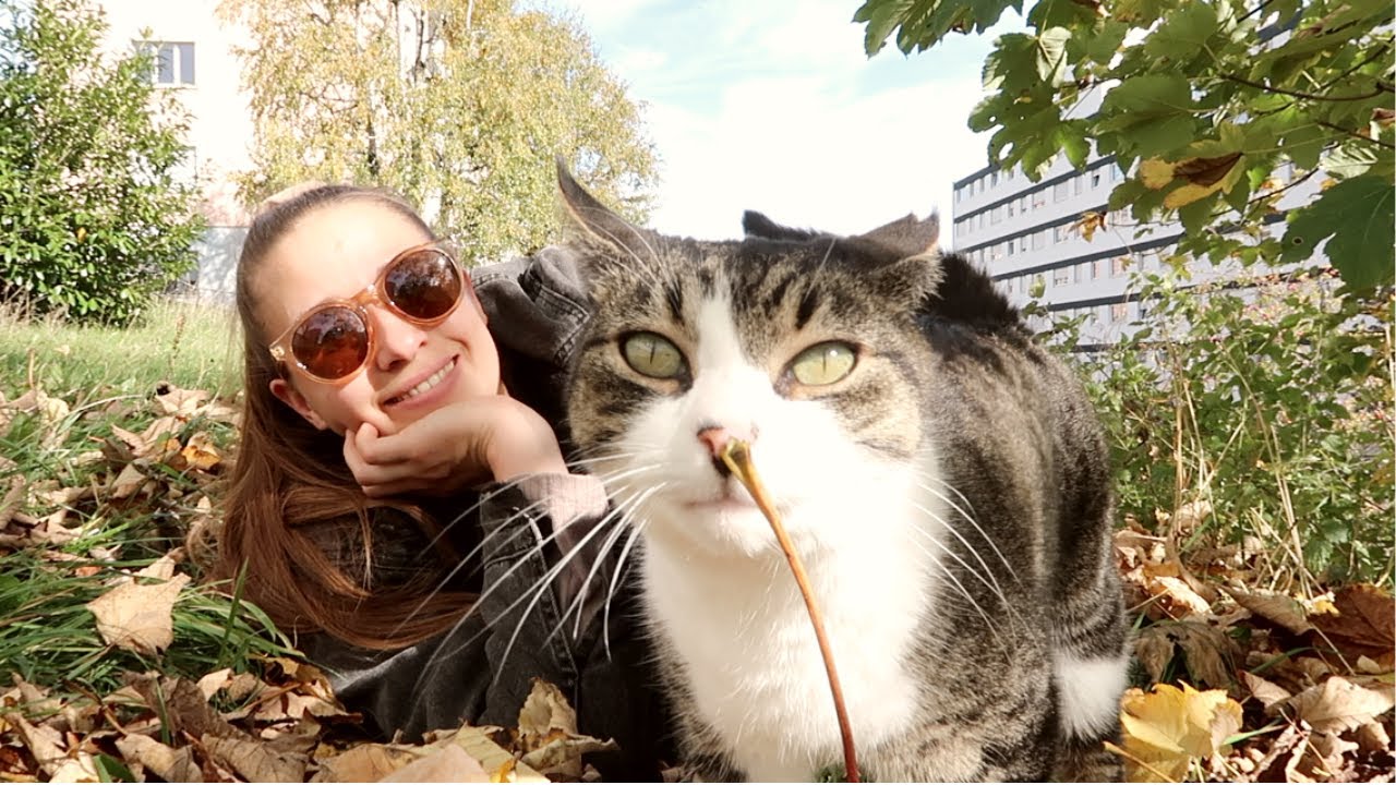 un dimanche d'automne avec milou