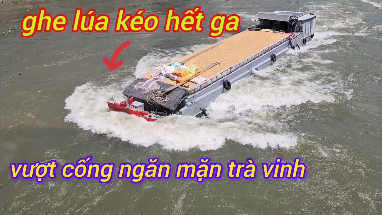 Ghe Tàu Tranh Nhau Quyết Liệt Vượt cống Ngăn Mặn Trà Vinh 