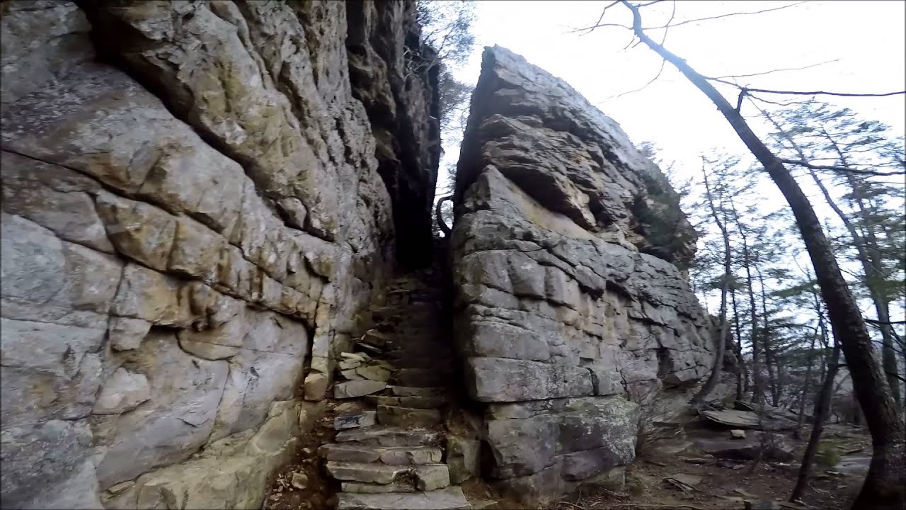 Savage Gulf Hiking in HD
