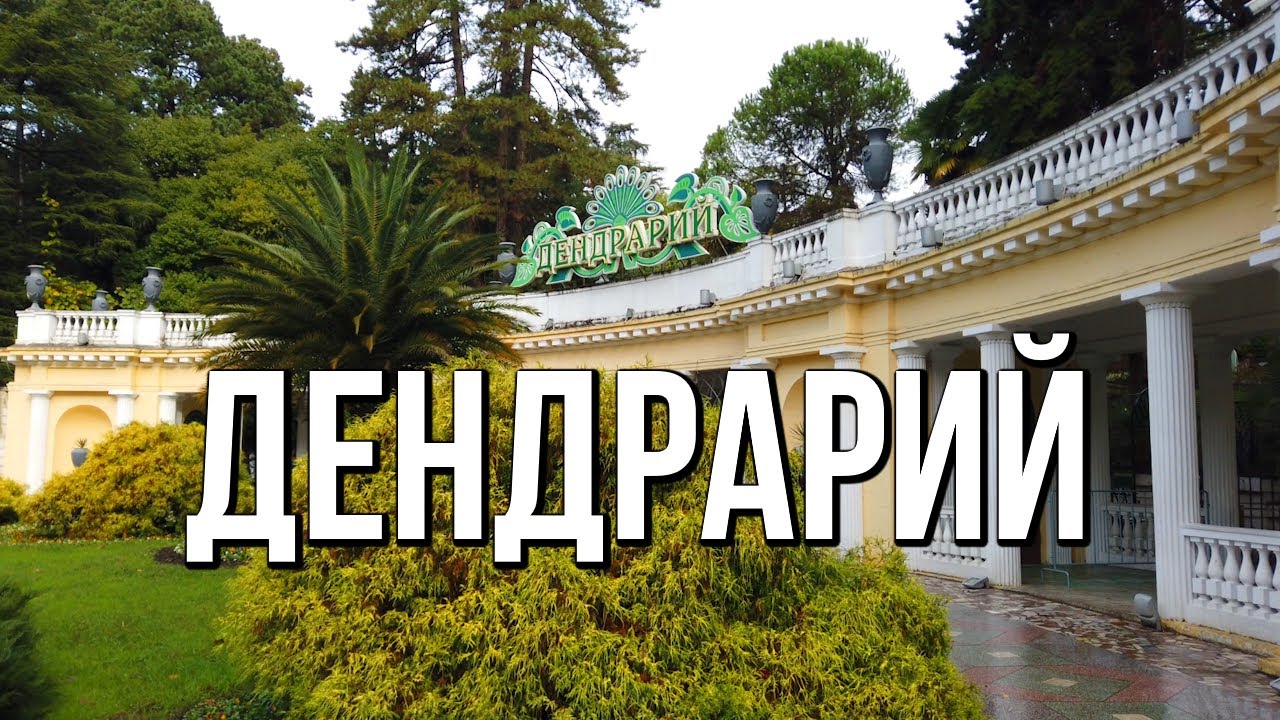 Дендрарий - зелёное сердце курорта Сочи