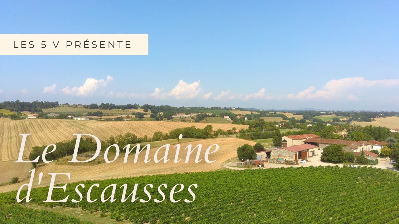 Les vins du SUD-OUEST : Le domaine familial d'Escausses - Les 5 V