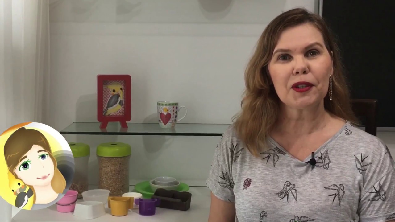 Com que frequ&ecirc;ncia devemos alimentar as aves?