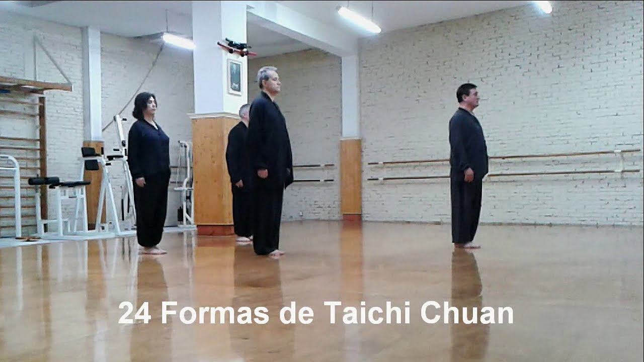 24 FORMAS DE TAICHI CHUAN  (forma de 24 de Pek&iacute;n)