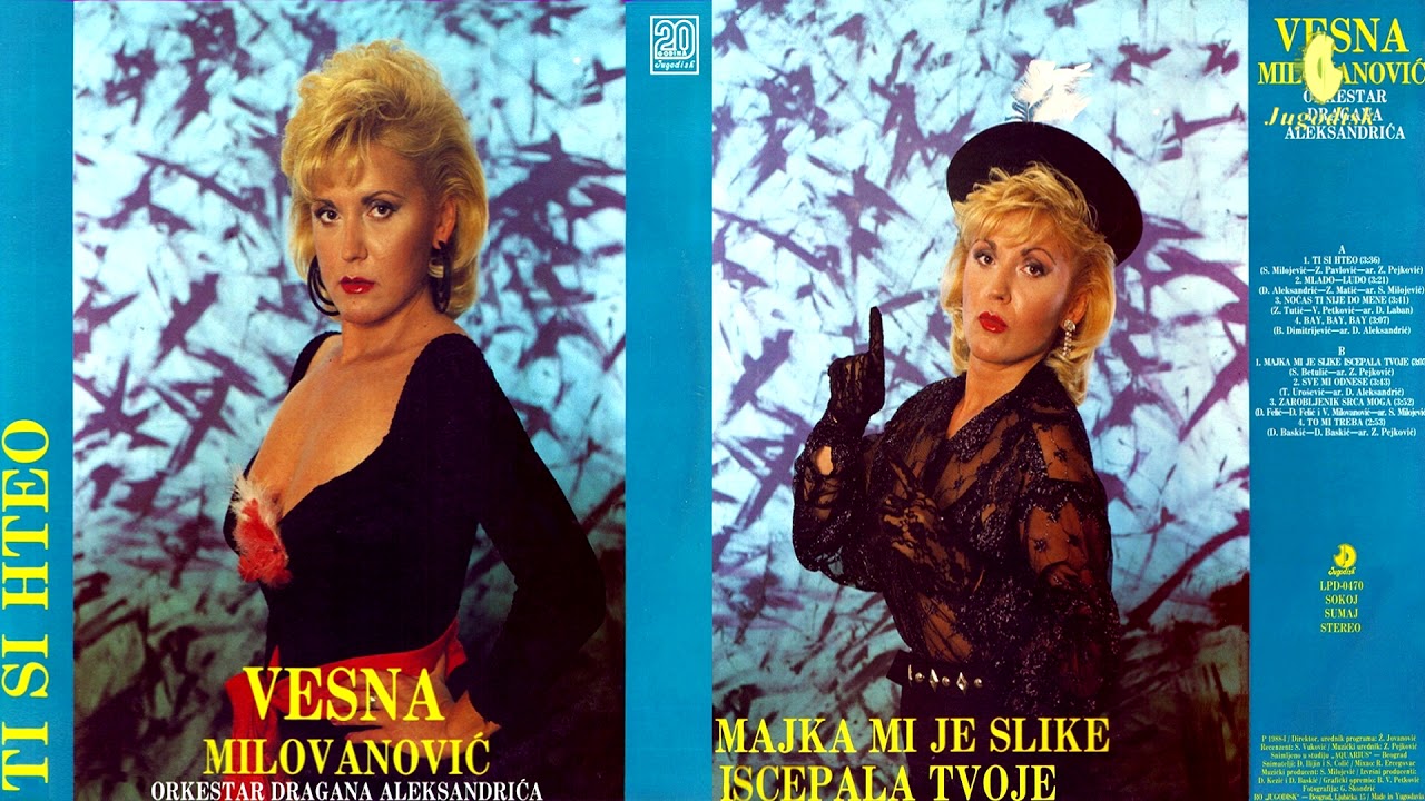 Vesna Milovanovic - Sve mi odnese - (Audio 1988)