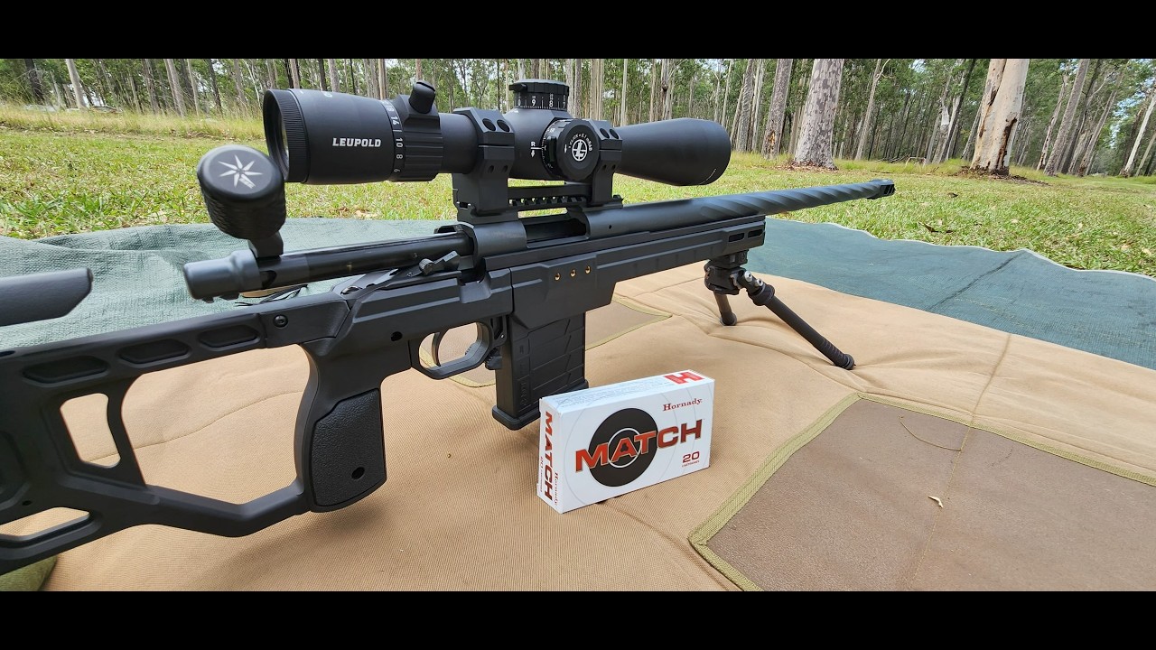 Factory ammunition or hand loads?