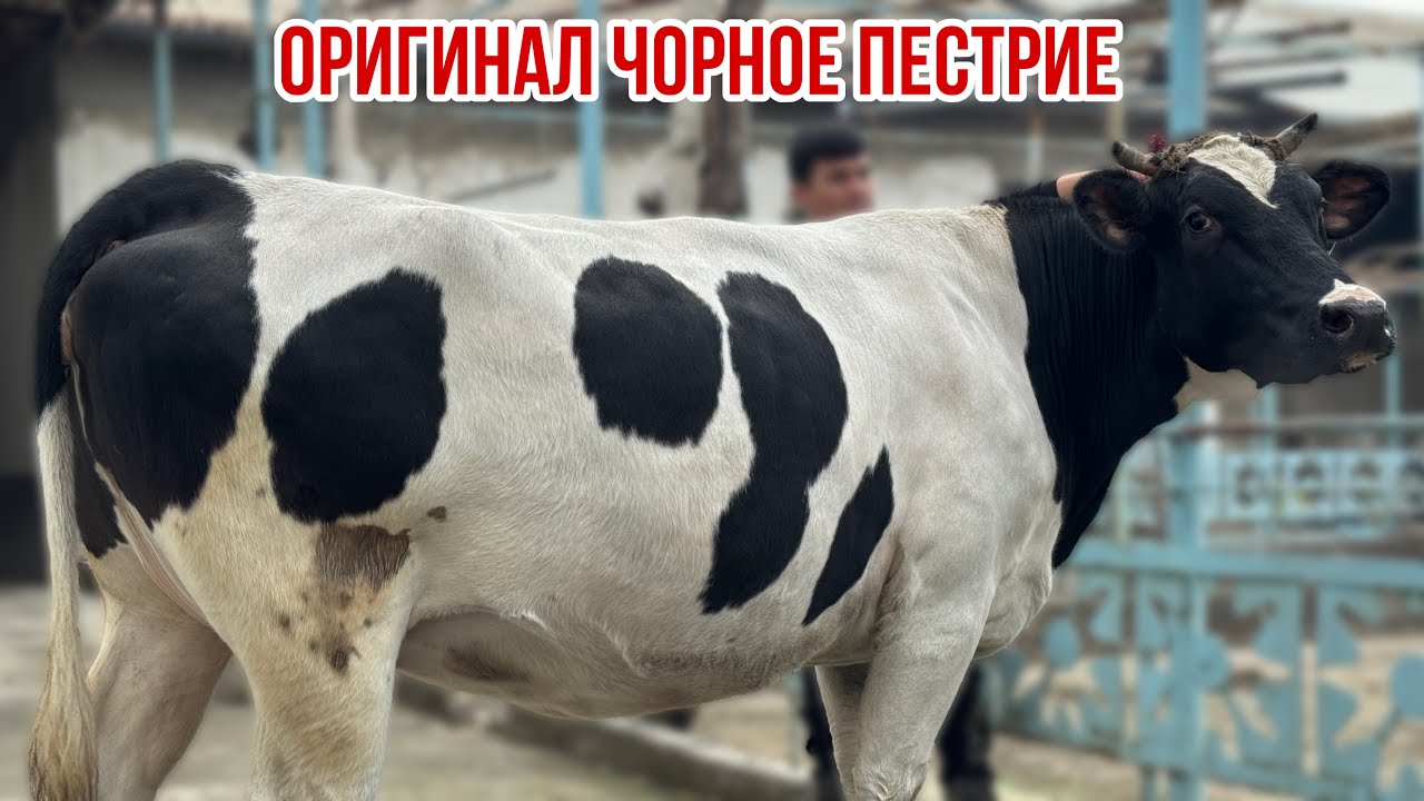 27 февраля 2026 г.