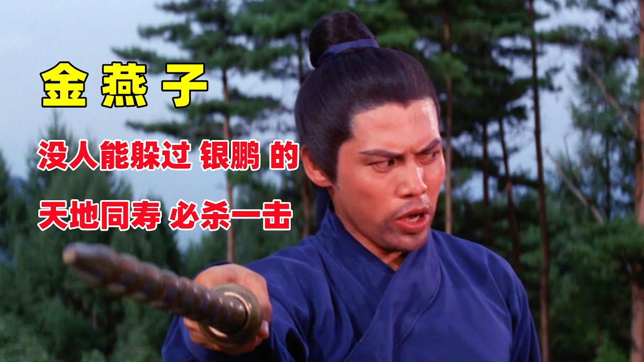 金燕子大结局，没人能躲过白袍银鹏的天地同寿，一击毙命